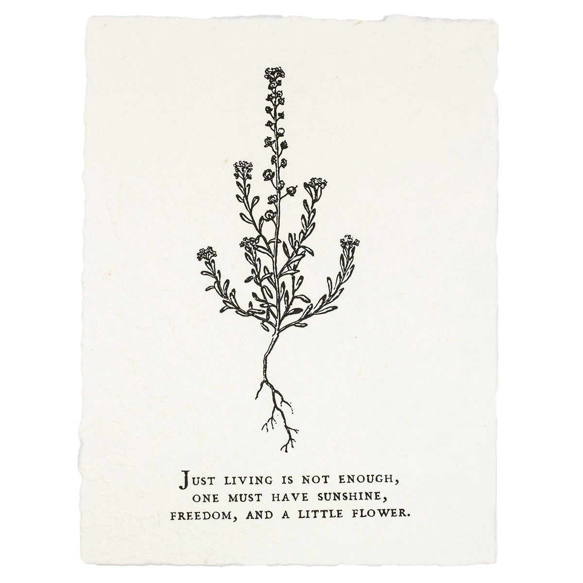 Just Living Is Not Enough Botanical Handmade Paper Print
