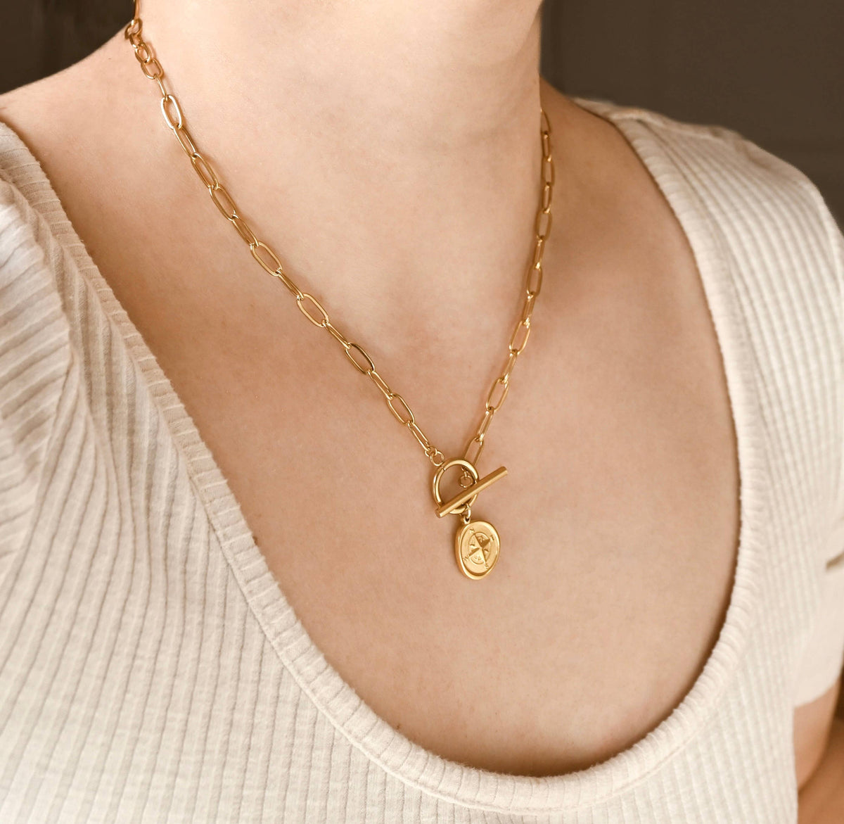 Paperclip Compass Medallion Necklace - Stainless Steel