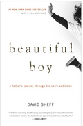Beautiful Boy: A Father's Journey Through His Son's Addiction - Soft Cover