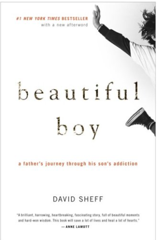 Beautiful Boy: A Father's Journey Through His Son's Addiction - Soft Cover
