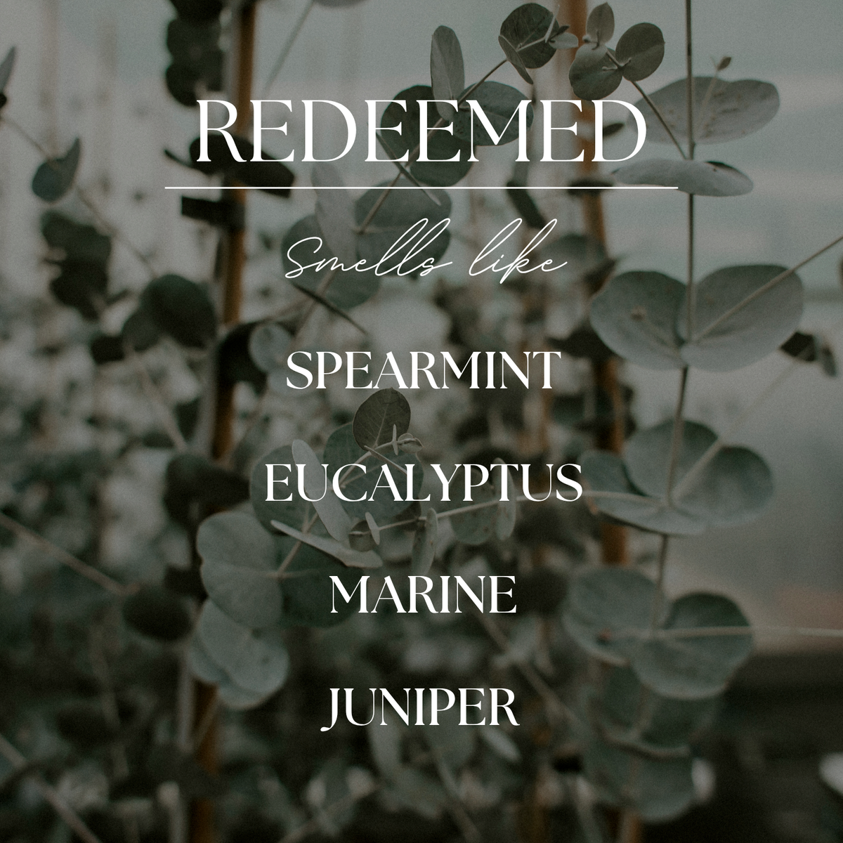 Redeemed | Eucalyptus & Mint | 15 oz. Clear Jar Soy Candle